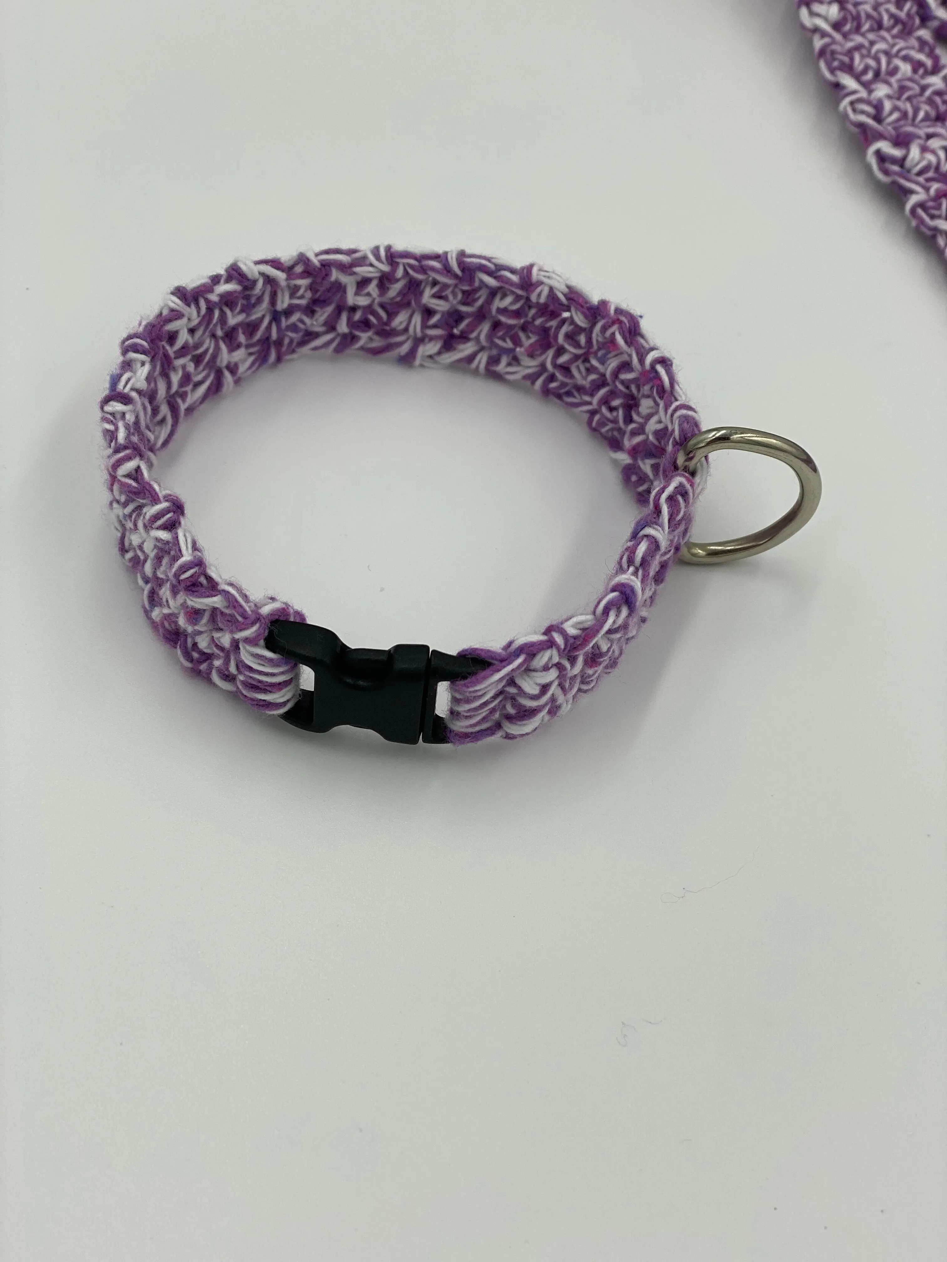 Dog Collar and Leash Set
