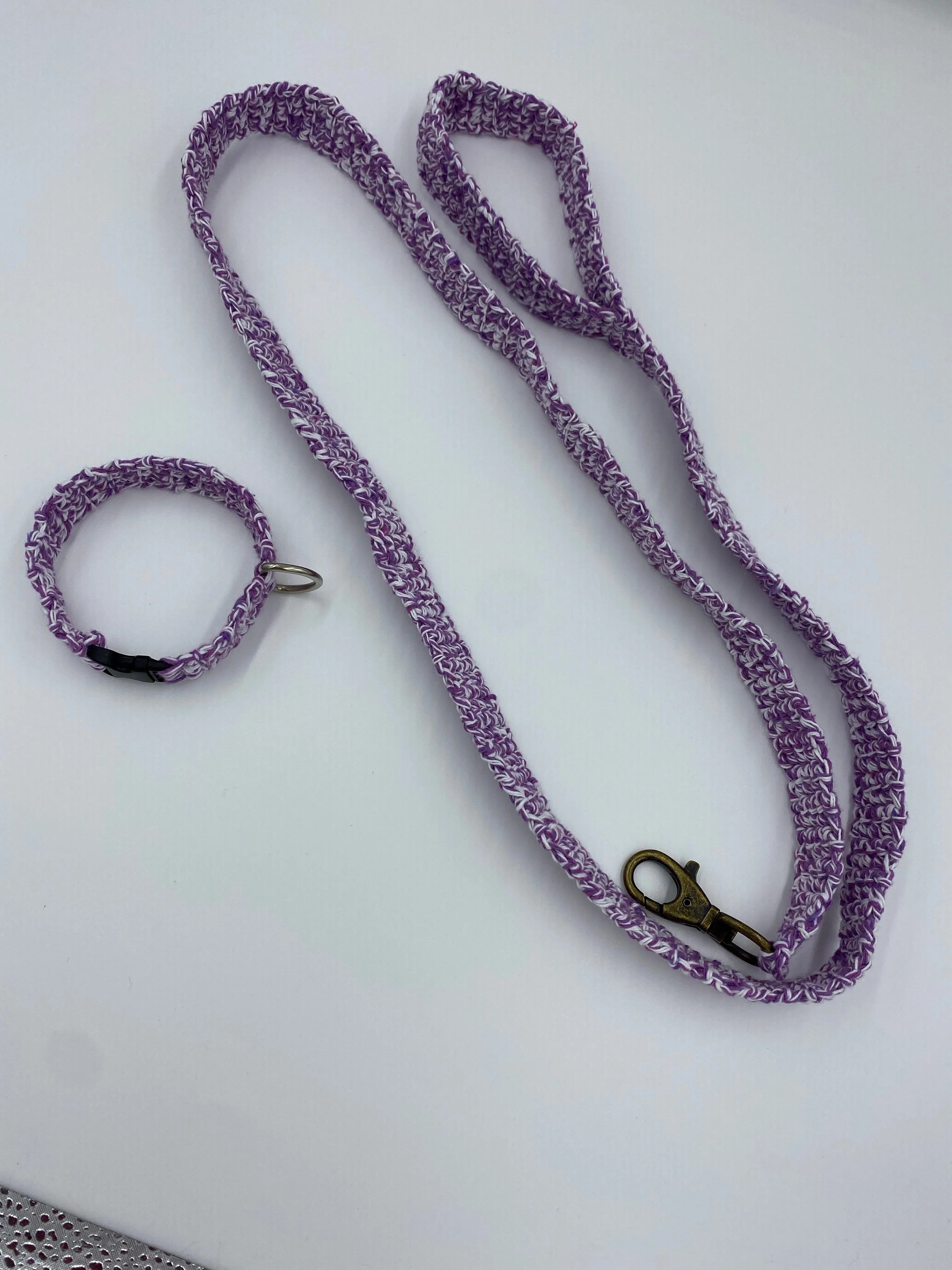 Dog Collar and Leash Set
