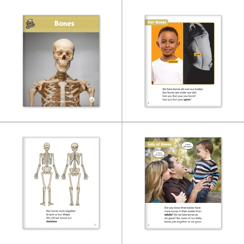 Human Body Theme Set