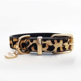 leopard collar