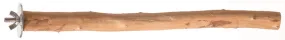 Natural Branch Perch Small