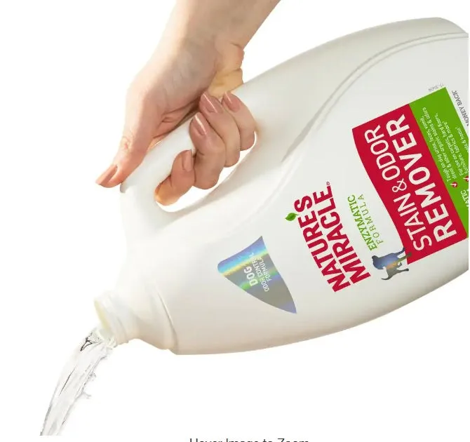 Original Stain and Odor Remover