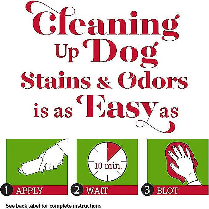 Original Stain and Odor Remover