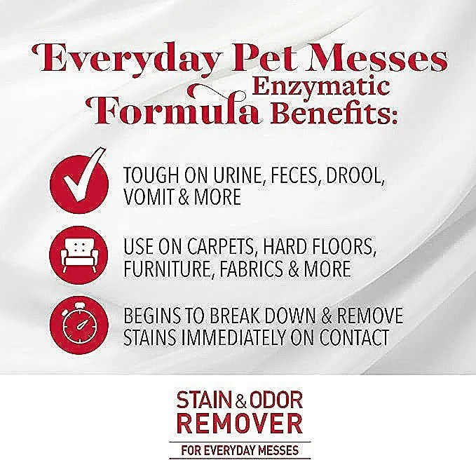 Original Stain and Odor Remover