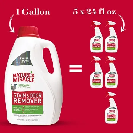 Original Stain and Odor Remover