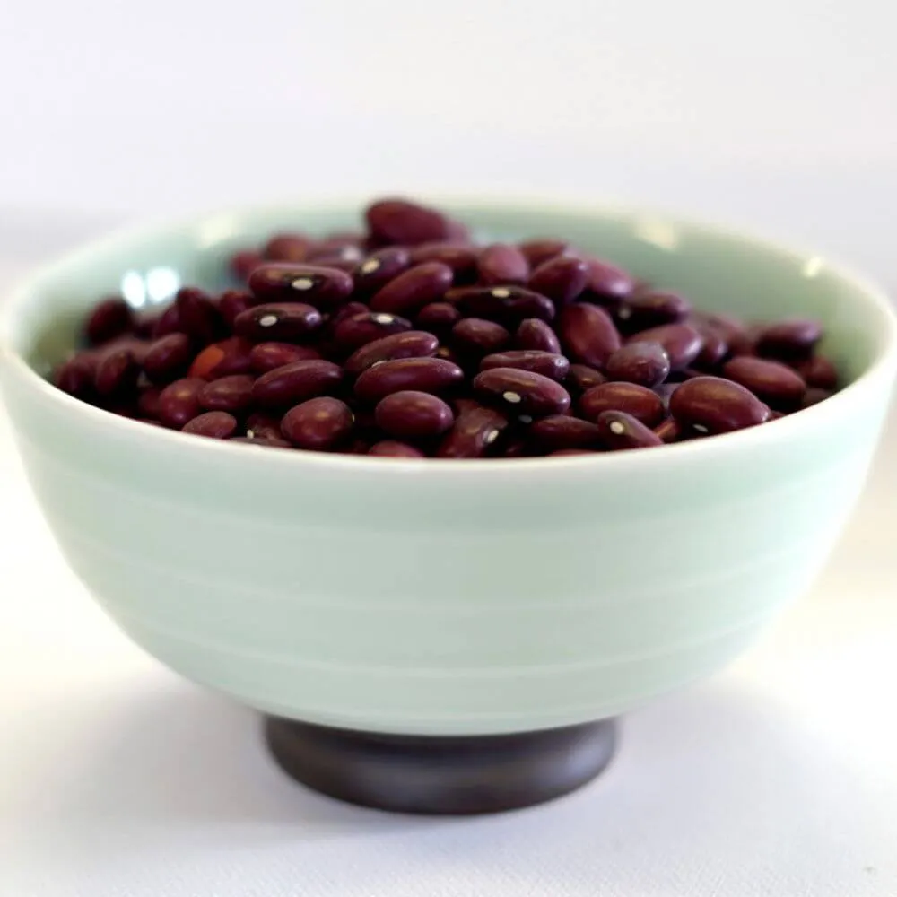 Rainy Day Foods Gluten-Free Small Red Beans Natural 25 lbs Bag - 113 Servings