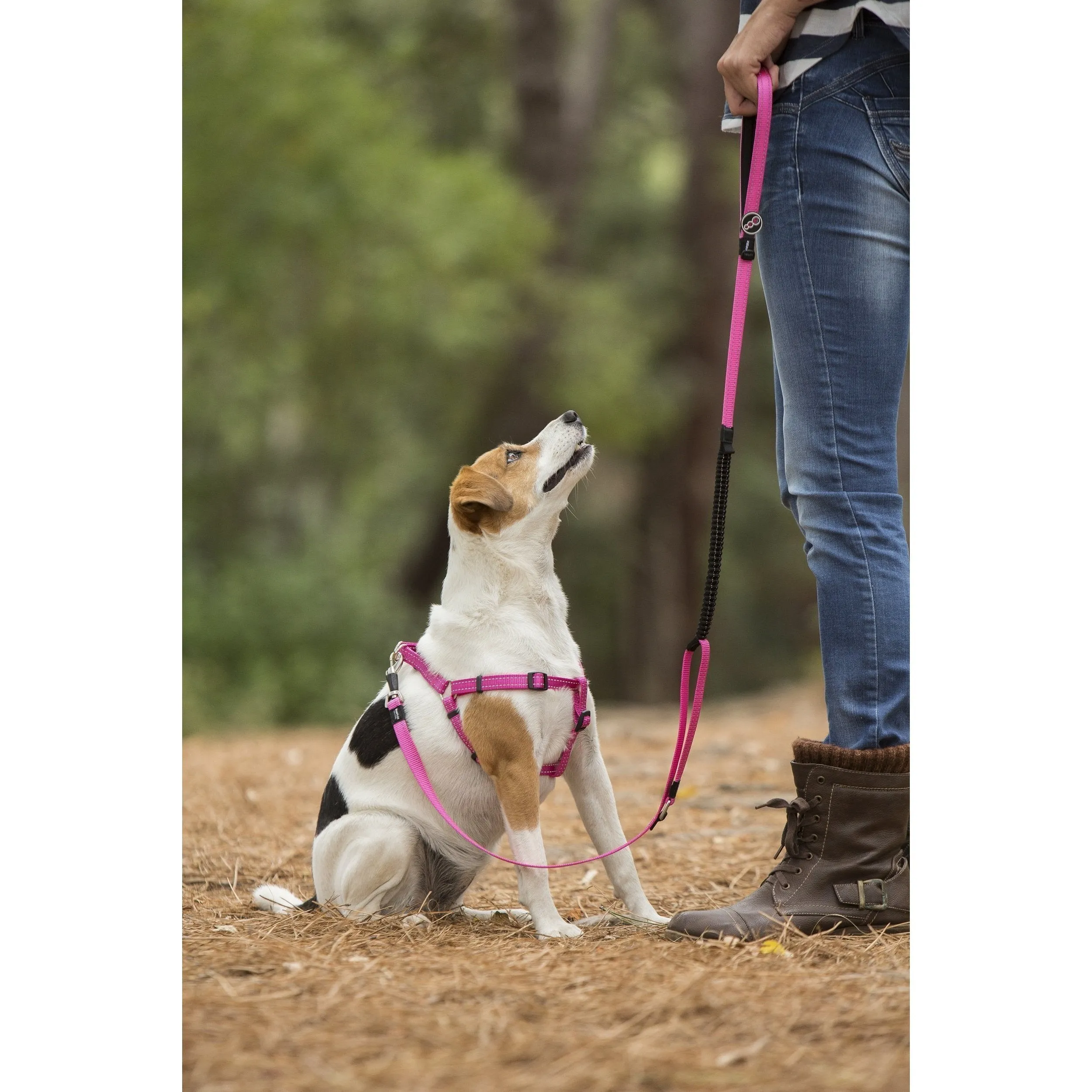 Rogz Classic Control Extra Large Long Dog Lead Pink=^._.^=